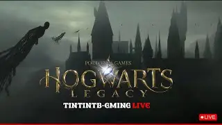 Paglu Harry Potter | Hogwarts Legacy LIVE | TINTINTB-Gaming | Part 12