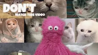 don&rsquo;t click on this video (asmr&hellip;)