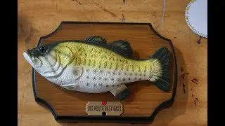 Billy Bass Dancing to Bohemian Rhapsody