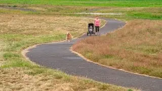VIDEO: New uses for the former Sumner Meadows Golf Course