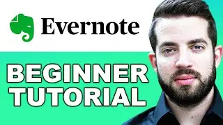 How to Use Evernote for Beginners | Productive Set Up for Optimized Work on Evernote!