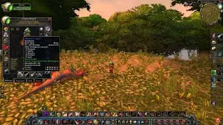 New Lvl 40 Rogue Gear, Talents, and Gold Farming Guide