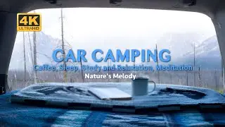 Car Camping and Rain Ambience 4K | relax, study, sleep | 2 Hours | Nature Melody #naturemelody