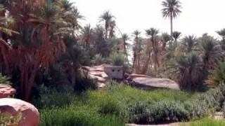 AIN SEFRA 8