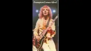 Peter Frampton / Lines On My Face