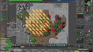 Nowe Stworki Cinder Wyrmling (600k/h+) profit w duo RP +EK! Kolejna miejscówka na Pacca w 20 godzin!