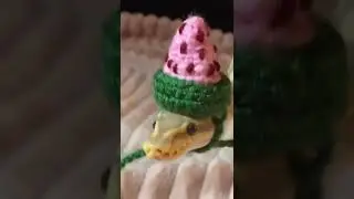 Look My Snake Via #heart #soul #pet #snake #snakefun