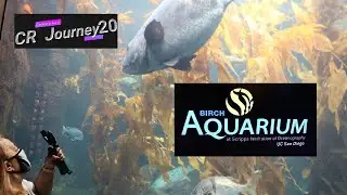 Birch Aquarium at Scripps -  A learning Aquarium located in La Jolla California