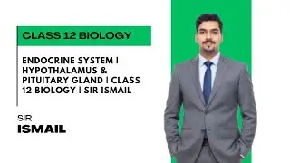 Endocrine System | Hypothalamus & Pituitary Gland | Class 12 Biology | Sir Ismail