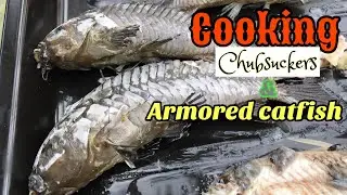 Cooking Armored Catfish and Chubsuckers
