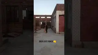 back foot punch 👊 #himanshupratihar #automobile #love #tatasierra2025 #cricketlover #funny #cricket