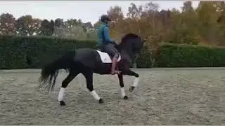 Theo Hanzon en Helena vh Goorhof (v. Gribaldi)