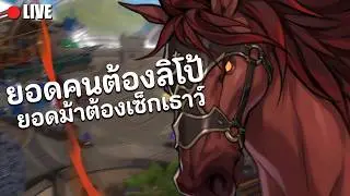 Seven Knight Rebirth : ลิโป้ เมนทีมกาย พี่ว่าไง