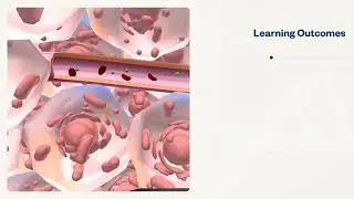 Your Diet and Your DNA | Virtual Lab