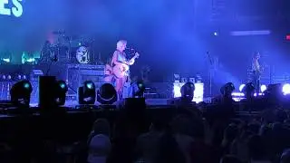 If A Tree Falls (live) - The Beaches - Budweiser Stage - Toronto ON Aug 22 2024