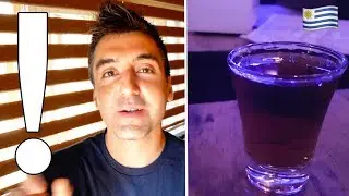 Must See In Montevideo: Best Bar In The World!