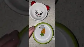 https://www.youtube.com/@xomka_27