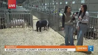 Livestock show teen talks inspiration, scholarship award