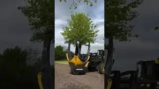 Amazing Tree Transplant Technology You Must See! My Reaction! #tree #technology #shorts
