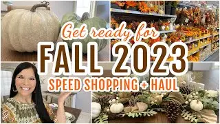 FALL DECOR HAUL 2023 #shopwithme #falldecoratingideas  #decorateforfall  #fall2023 #shoppinghaul