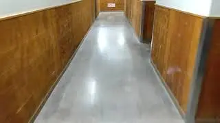 Walking through the back hallway of the Mall
