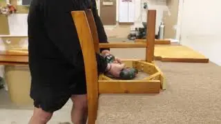 Felton Dining Chair Assembly