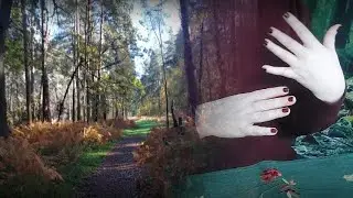 Forest Walk ASMR Story - The Lost Hour 🌳