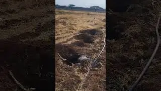 #farming #irrigation #irrigationproject