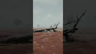 Quran Translated - Ch. 84 The Splitting Asunder (Surah Al-Inshiqaq)