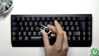 How to Clean Your Razer BlackWidow V3 Mini