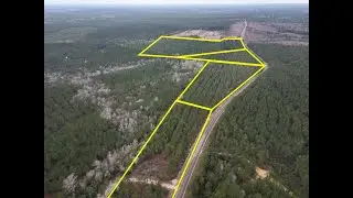 Various tracts | FM 1012 | Newton Co., Texas