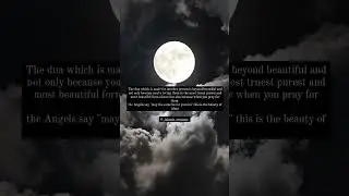 The beauty of islam #islamicstatus #viralvideo #islamicsermons #trendingshorts