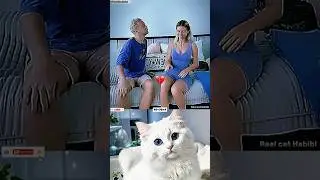 genius wife Aura moment 💀 #funny #cat #memes #dance #trending