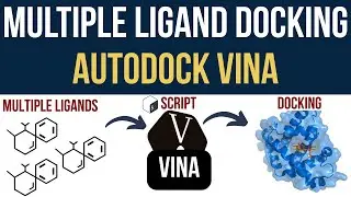 AutoDock Vina: Multiple Ligand Docking in MINUTES! (Bash Script Guide)!