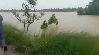 Bairgania ,sitamarhi flood alert (Bihar)