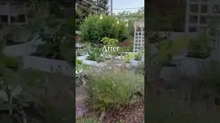 We have designed and built our garden over time, as we had the time + resources. #garden #gardening
