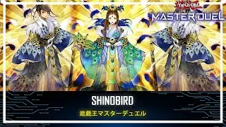 Shinobird - Shinobaron Peacock / Bounce and Negate Monster / Ranked Gameplay [Yu-Gi-Oh! Master Duel]