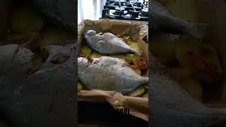 Baked dorado & potato gratin. Clean and powerful. #food #seafood #foodshorts