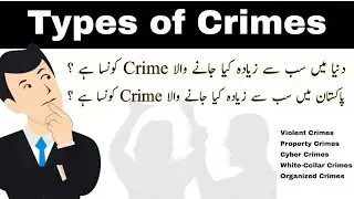 Types of Crimes | The Most Common Crimes in the World and in Pakistan | Crime Rates in Pakistan