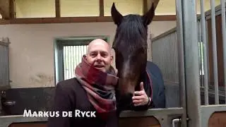 DressurClub Rheinland 40+ Lehrgang mit Christoph Hess