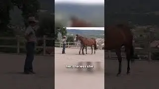 You can't control a horse, a horse must be able to control themselves.