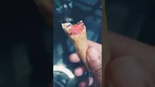 rating pakistan local snack wispy mini cone 10/9.5 cocomo 10/10😍😍😋😋