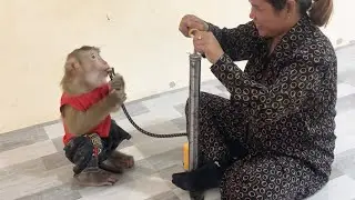 Handsome Jason Unlimited Funny Steadfast Wait To Fill Air In Pouch With Mom Pump