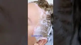 Guide for Salon Owners to Selling Vegan Haircare Products and Growing Revenue
