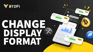 How to Change Value Display Format in BYDFi 2025?