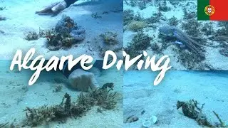 🇵🇹Algarve Vlog #38 | Diving in the Algarve