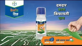 Fenos quick (फेनॉस क्विक): Insecticide for Pod borer&nbsp;Management (Hindi) | Bayer Crop Science India