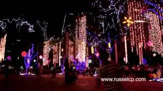 Ayala Triangle Gardens Light Show