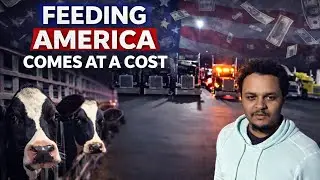 Livestock Truck Driver Explains the Reality of Feeding America