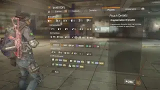 Literboy's live stream The Division 1.7 GE credit farming